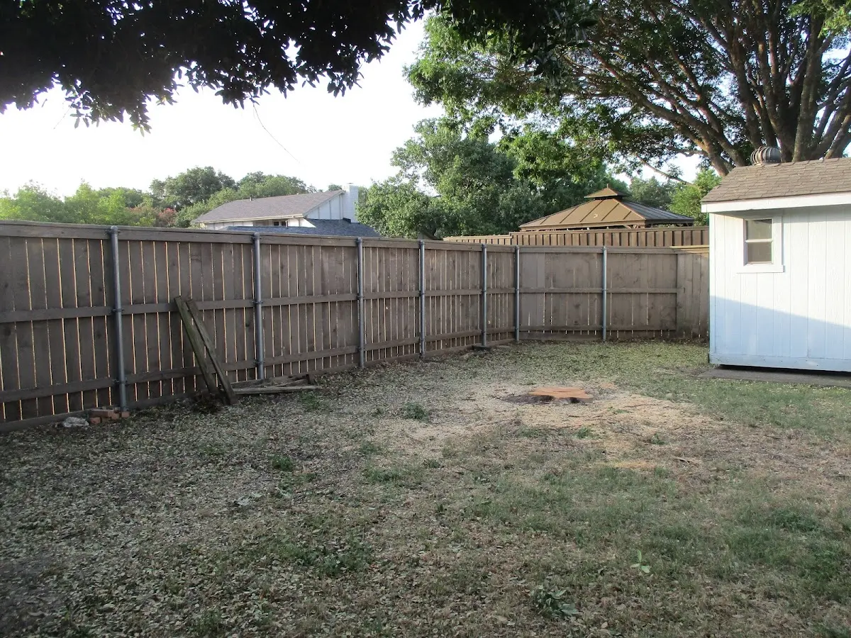Cleared yard after professional tree removal in Lepanto